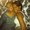 Photo of Stephanie A.