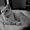 Photo of Lianne G.