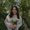 Photo of Cyndle H.
