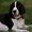 Photo of Jaxson O.