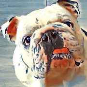 google avatar