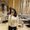 Photo of Ankita n.