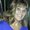 Photo of Cindy S.