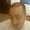 Photo of Vivek B.