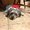 Photo of Abey M.
