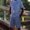 Photo of Chuck P.