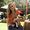 Photo of Alicia M.