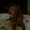 Photo of Heather L.