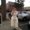 Photo of Melissa H.