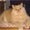 Photo of Lorree P.