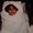 Photo of Maanav S.