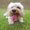 Photo of Yu Yu D.