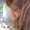 Photo of Alejandra A.