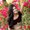 Photo of Radhika S.
