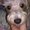 Photo of Nonna F.