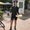 Photo of Aislinn G.