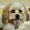 Photo of Millie A.