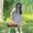 Photo of Nises S.