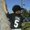 Photo of Shane T.