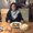 Photo of Sharon S.