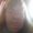 Photo of Monika S.