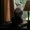 Photo of JERI M.