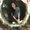 Photo of Tammy N.