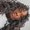 Photo of Dedrick E.