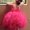 Photo of Gia S.