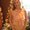 Photo of Pattie P.