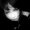 Photo of Monica K.
