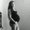Photo of Raeana C.