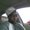 Photo of Dullah M.