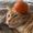 Photo of Savy