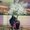 Photo of Phyo T.