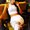 Photo of Elvia J.