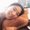 Photo of Nikita C.