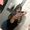 Photo of Nathaly R.