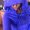 Photo of Ericka S.