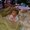 Photo of Linh P.