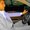 Photo of Qype User (reecew…)