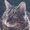 Photo of Qype User (Die_Gi…)