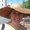 Photo of Anna P.