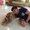 Photo of Neel S.