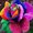Photo of Lory B.