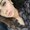 Photo of Jacqueline M.