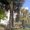 Photo of Candra S.