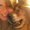 Photo of Brandee S.