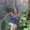 Photo of Cathleen M.