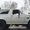 Photo of Bronco T.